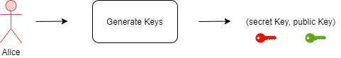Alice generates a secret key and a public key so that she can join the blockchain network